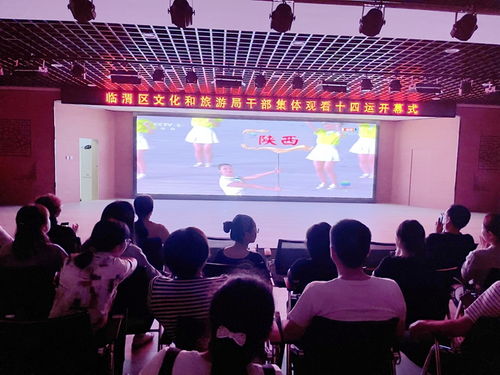 臨渭區(qū)文化和旅游局 觀十四運(yùn)盛會(huì)開幕 展文旅融合新風(fēng)采
